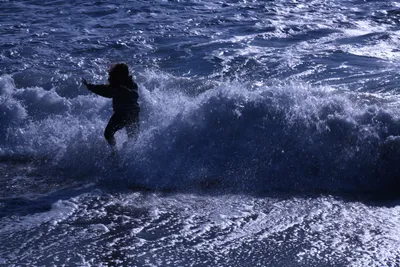 DSC_0455 (Large).JPG